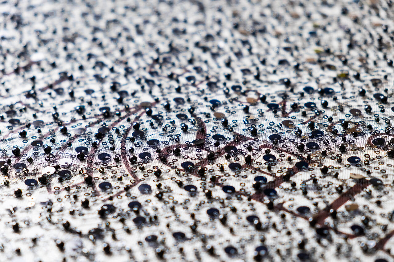 color lace fabric close-up 377292